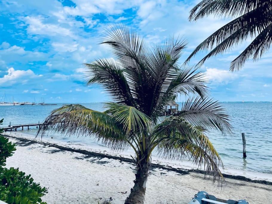 كانكون Punta Me Apartments With Nice Sea View & Beach المظهر الخارجي الصورة
